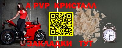 ECSTASY Гусев